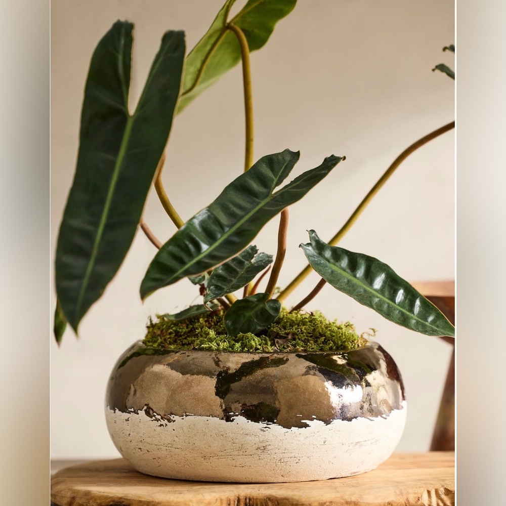 Anthropologie Handmade Terrain Metallic Colorblock Ceramic Bowl Planter NEW